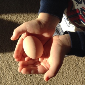 Lucas Holding the Turken egg